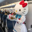 더하이어 | Etihad Airways cabin crew hireview 에티하드 항공 승무원 하이어뷰 후기 1탄 (서류합격)