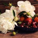 비타민소아청소년과의원 이미지