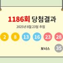 1186 이미지