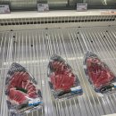 [뭐라도학교] 월담 2월 | 수원 스타필드 수원참치맛집 팝업 2등 당첨 후기 '참치학교' 팝업스토어 내돈내산