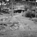 수원-1912 이미지