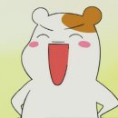 포차중문 이미지