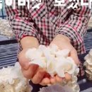 생목농장 이미지