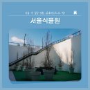 강서청소년쉼터 | 서울식물원 가볼만한 곳 후기🌿 실내데이트·아이와 함께 추천!
