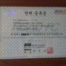 포항이종격투기 이미지