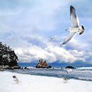 동해시-09 이미지