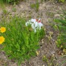 뚝섬한강공원-57 이미지