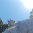 영신당약국 이미지