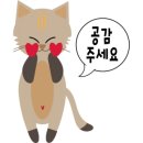 뷰티로그인