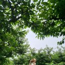 팽성남산4길 이미지