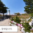 등대부동산중개사무소 이미지