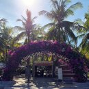 하나샘투어 | [무이네 관광] 무이네 레드샌듄, 와인캐슬, 요정의 샘 솔직 후기