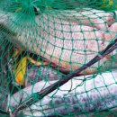 대림민박 이미지