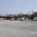 함평나비마을 서울캠핑장 아시아경제