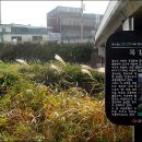 개명소공원 - 2512 | 개명소공원