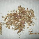 달래네 하우스 이미지