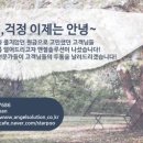 엔젤솔루션