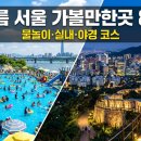 인셀덤 서울본부 안성 | 서울 가볼만한곳 여름 실내 물놀이 야경 코스 8곳 추천