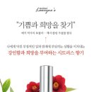 미미메종 이미지