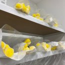 사평대로55길 97-5 이미지