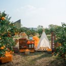 야크짐 | 제주 야크마을 숙박후기