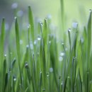 25행정사사무소 이미지