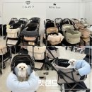 웰컴캐노피 | 부천 강아지 유모차할인매장 펫랜드에서 피카고 프리투고 2.5 시승해본 솔직후기