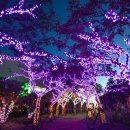 수목원테마파크 이미지