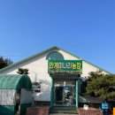 안계 | 포항 미나리 삼겹살 시즌 맛집 _ "안계미나리농장" 방문 후기