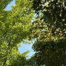 휴코스메틱 | 인천 구월동 네일샵 추천│'네일오 탈라코스메틱' 내돈내산 9번째 방문후기