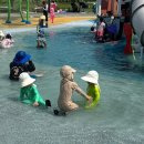 비봉인공습지 축구장 | 화성 비봉 습지공원 실외 물놀이터 이용 시간 및 준비물 | 직접 다녀와본 후기와 꿀팁