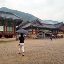 영광 성산리 지석묘군 | 영광 불갑사 상사화 축제 기본 정보, 꽃무릇 축제 가볼만한곳 (ft. 가을꽃구경)