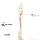 CM Fitness 이미지