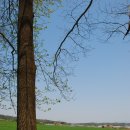 새만금 청보리농장 | 청보리농장