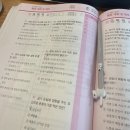 내일 | 일산제과제빵기능사 / 초보자 국비지원 수강후기 ( 내일배움카드 )