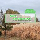[2022 경기문화재단 문시기] 경기도 도심 속 은빛 가을 힐링지:: 수원 탑동시민농장