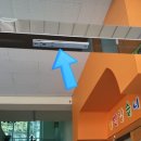 신금초등학교병설 네이버블로그