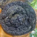 대선당 | 메가커피 제주 신메뉴 &amp; 대림 빵집 '대선당' 후기