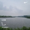 루오지
