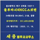 블루마루