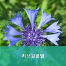 능대로 | 능대로고시원 허브원룸텔 어린이대공원 근처