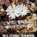 ✝️진종오 의 눈물~ 이미지