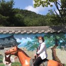 유문 경로당 | [후기] 양산의 건강 체조 스타강사 유문순 강사. 평생교육 강사협회 오픈 채팅방에서 난리 났네요.