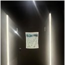 월드원짐 이미지