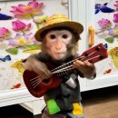 무신사 개러지 이미지