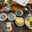 봉솔로 | [포천맛집] 송우리 스시 맛집, 스시센 나우코스 내돈내산 후기