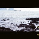 지에스25 법환포구 이미지