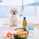 먹방뷰