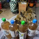 명복농장 이미지