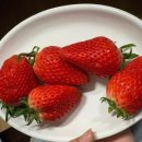 새동네생고기구이 이미지